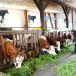 Schulbauernhof - Bildergalerie