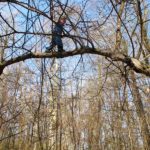 Waldtag im Kindergarten
