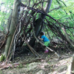 Waldtag im Kindergarten